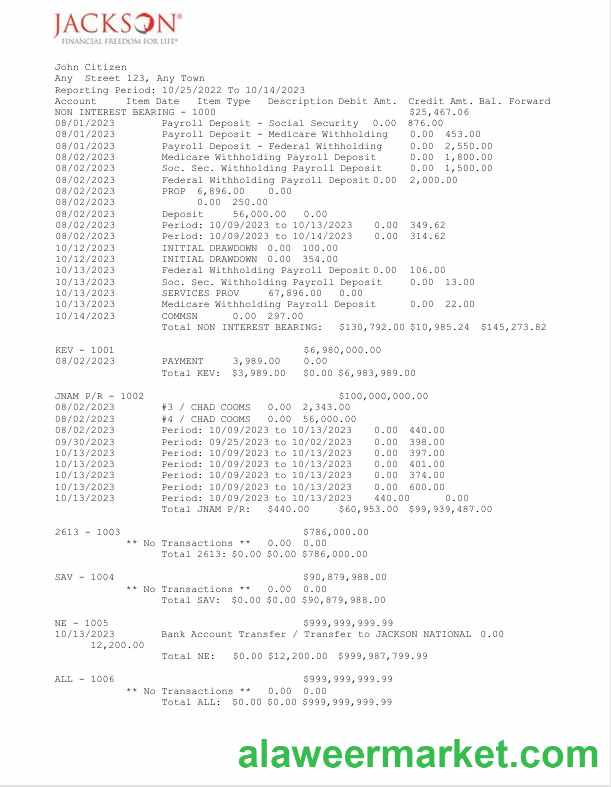USA Jackson National bank statement Word and PDF template, 2 pages